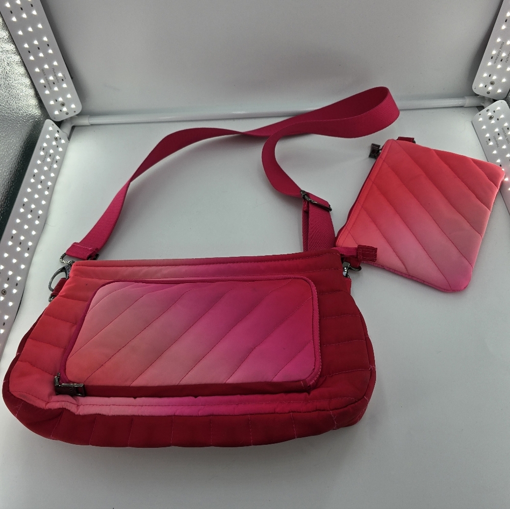 Think Royln Ombre Purse & Pouch